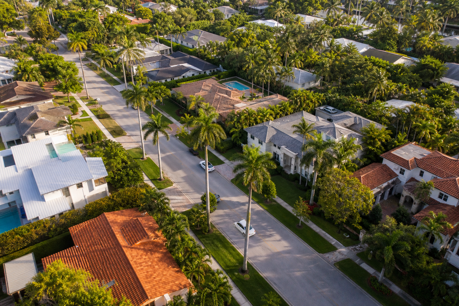 Hero image — overhead/aerial of a Boca Raton residential street with mature palms, mid-morning light, mix of single-family homes visible. Should evoke "real neighborhood" not "stock listing."