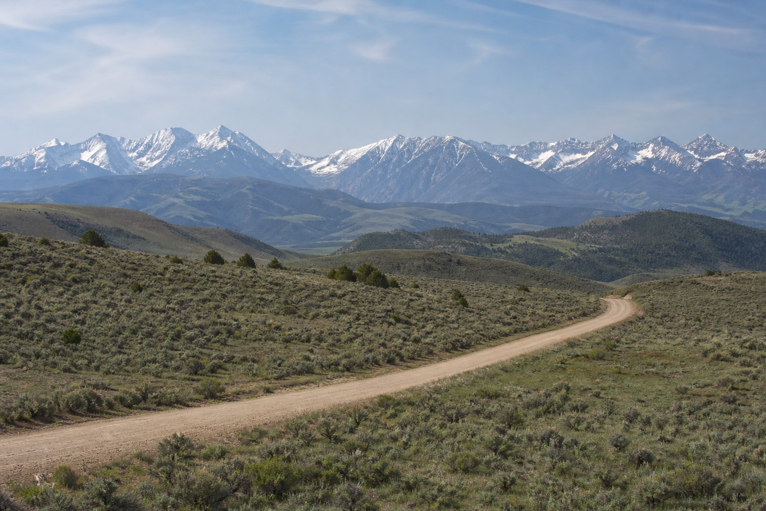 Wide-angle landscape shot of a mid-elevation Colorado parcel — rolling sage scrubland with the Sangre de Cristo or Sawatch Range in background, a single dirt access road cutting across the foreground, no buildings visible. Mid-morning light.