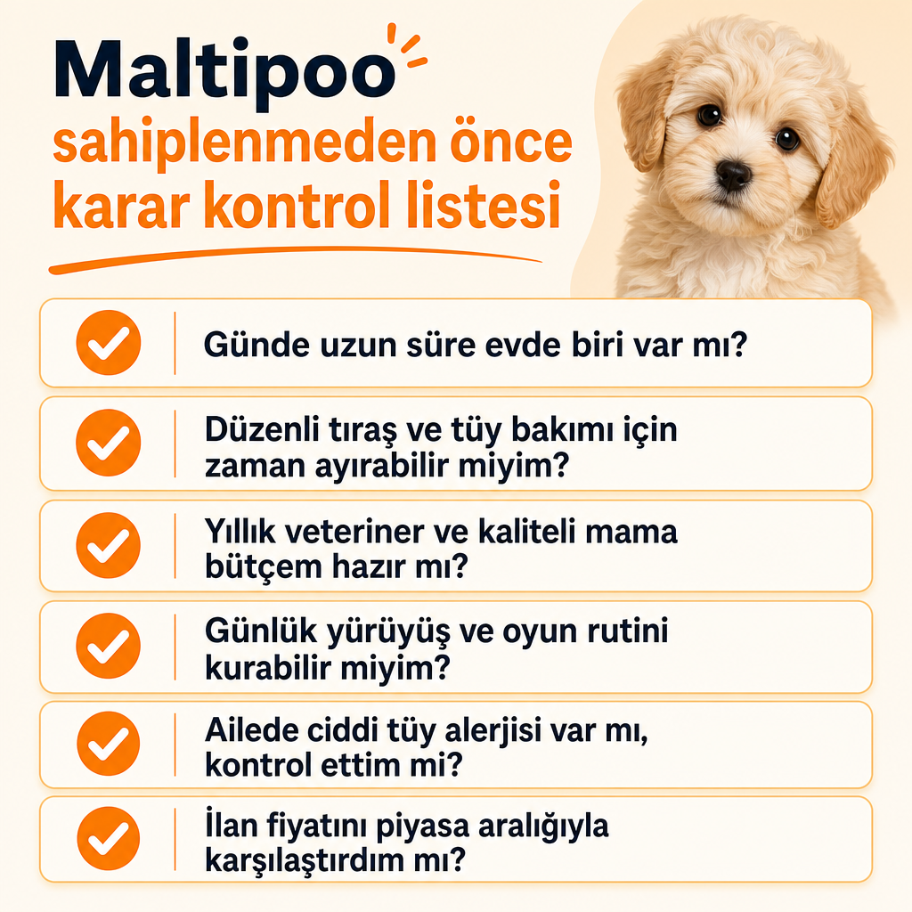 Maltipoo sahiplenmeden önce değerlendirilecek altı maddelik karar kontrol listesi