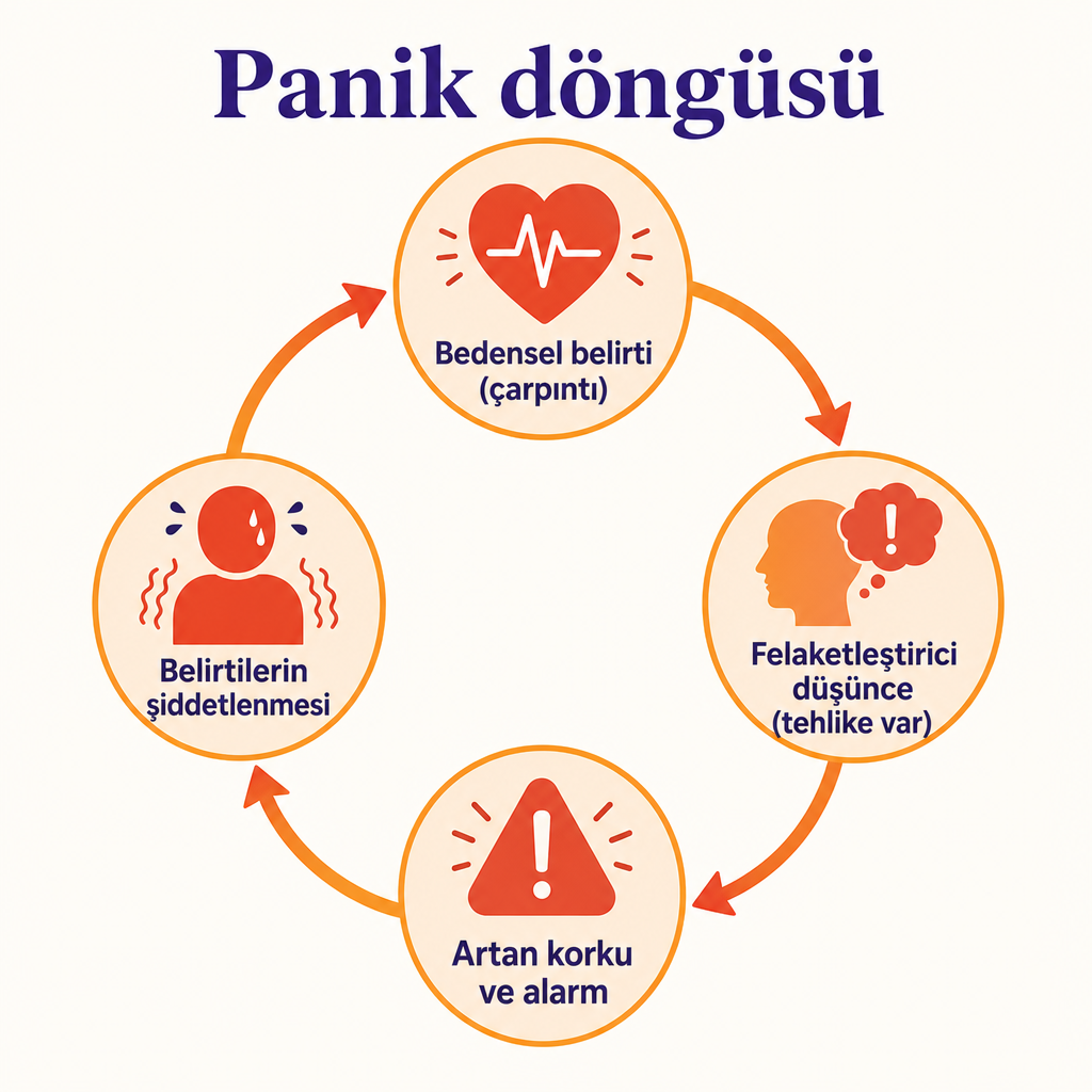 Panik atağın kendini besleyen dört aşamalı kısır döngüsünü gösteren dairesel diyagram
