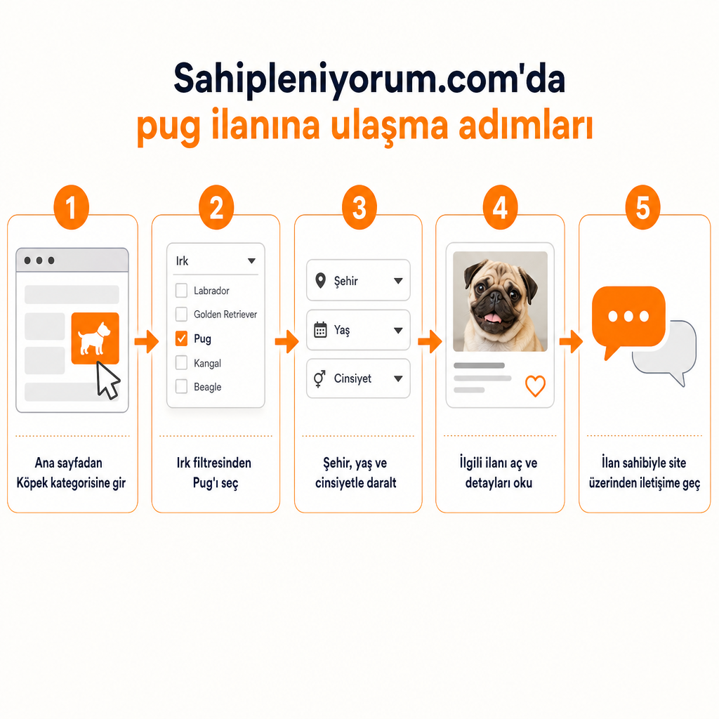 Pug ilanına ulaşmanın beş adımını gösteren süreç şeması