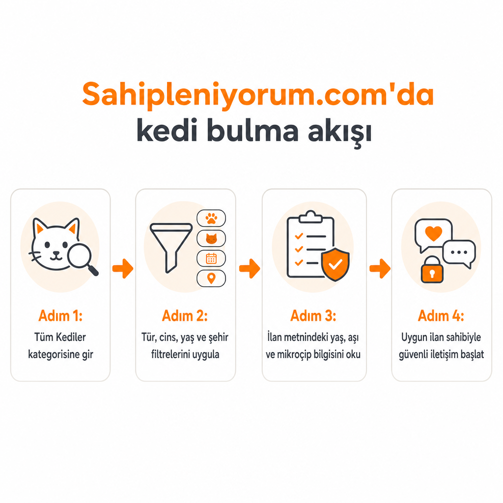 Kategoriye girmekten güvenli iletişime kadar dört adımlı kedi bulma süreci