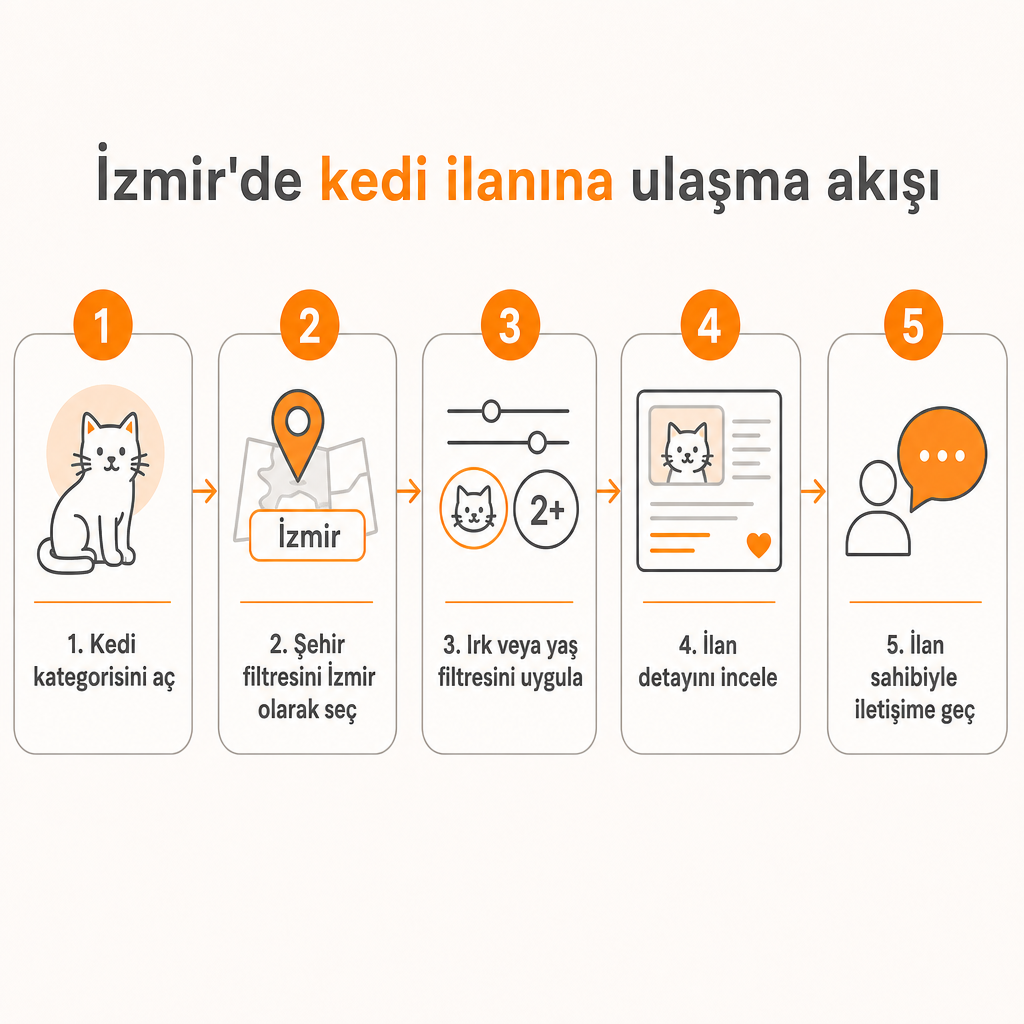 İzmir'de kedi ilanına ulaşmanın beş adımlı akış şeması