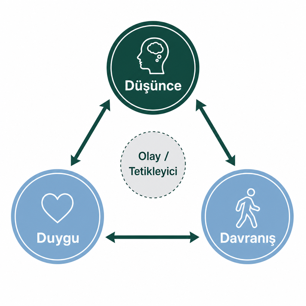 Düşünce, duygu ve davranışın birbirini karşılıklı etkilediğini gösteren üçgen döngü şeması