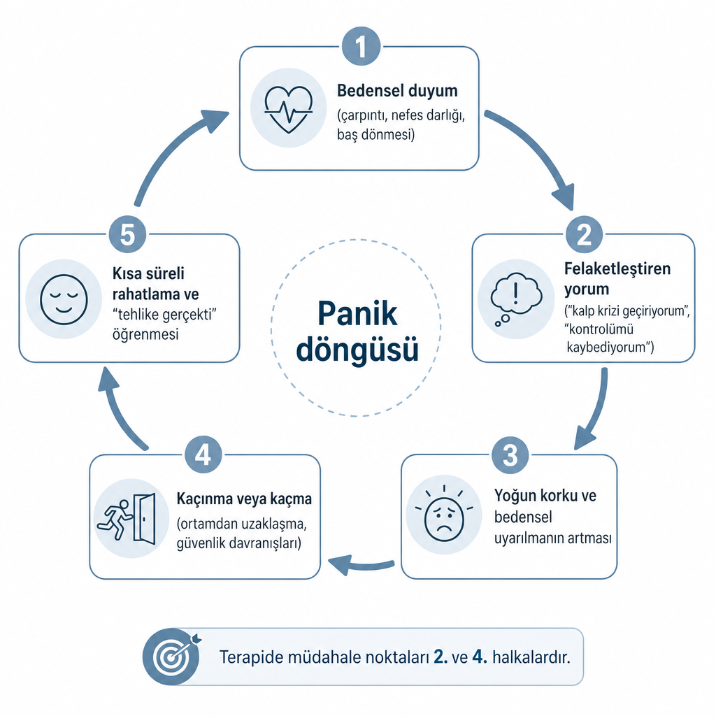 Bedensel duyum, felaketleştiren yorum, korku, kaçınma ve kısa süreli rahatlama halkalarından oluşan panik döngüsü diyagramı.