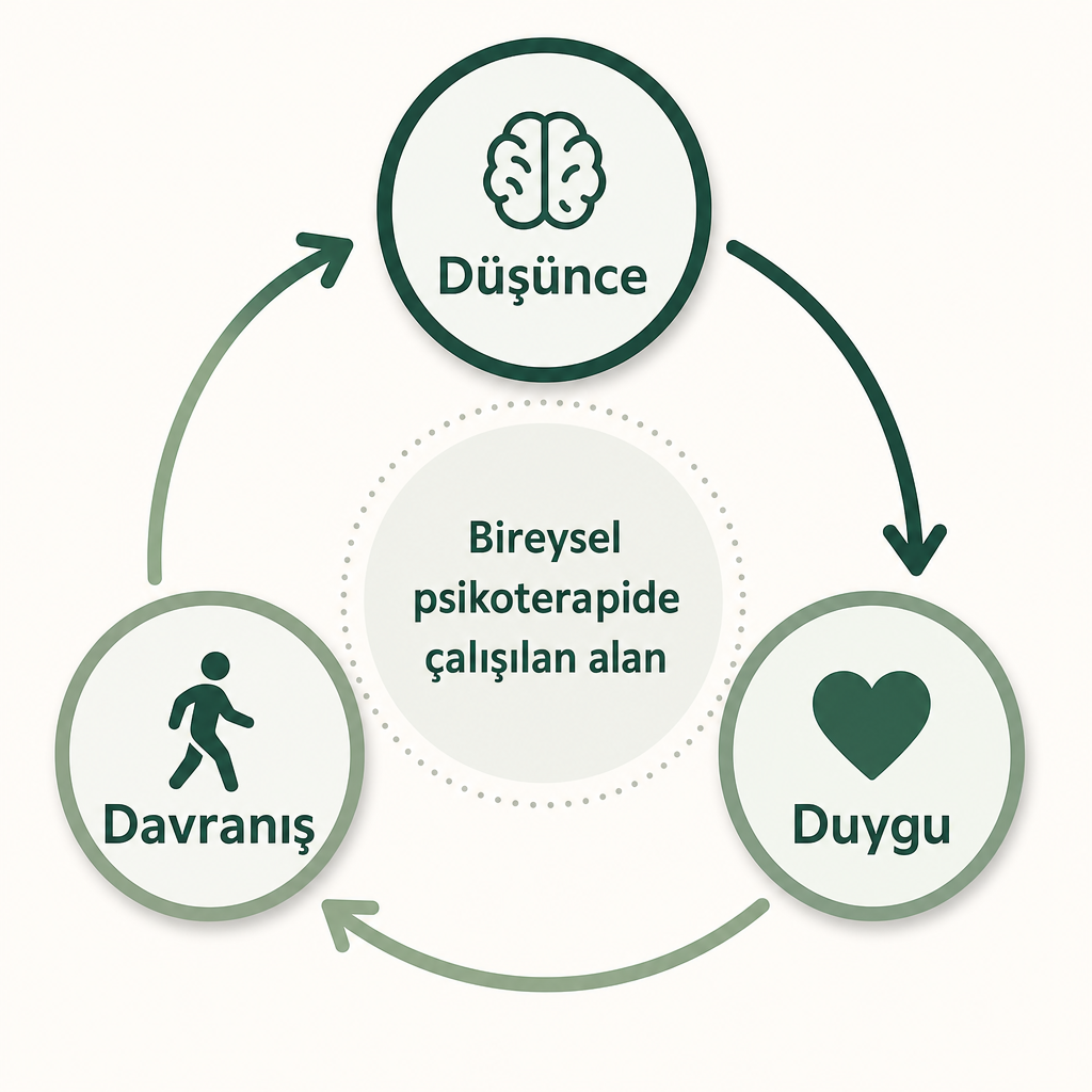 Düşünce, duygu ve davranışın birbirini besleyen bir döngü oluşturduğunu gösteren üçgen şema.