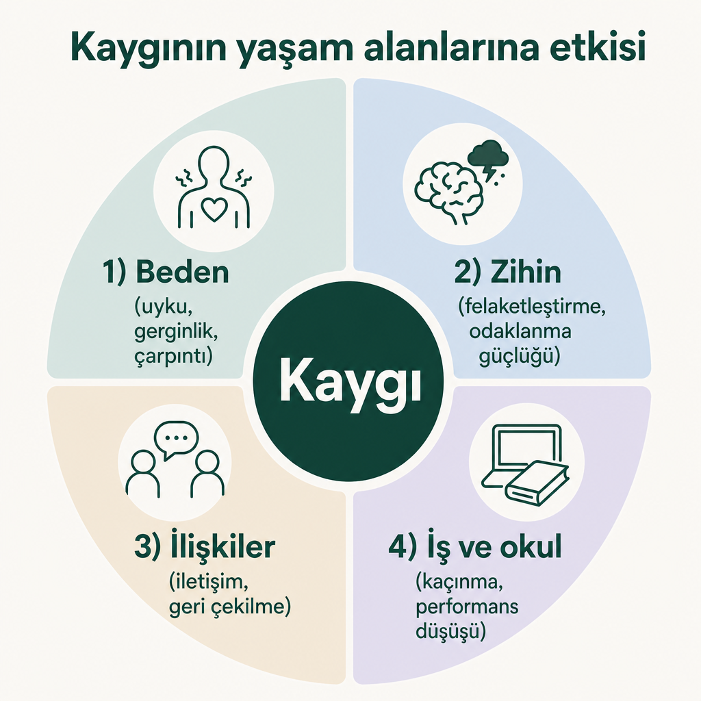 Kaygının merkezde yer aldığı; beden, zihin, ilişkiler ile iş ve okul olmak üzere dört yaşam alanına yayılan etkisini gösteren çark modeli