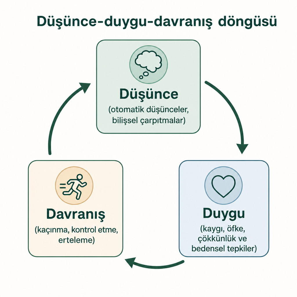 BDT'de düşünce, duygu ve davranış arasındaki döngüsel ilişkiyi gösteren şema.