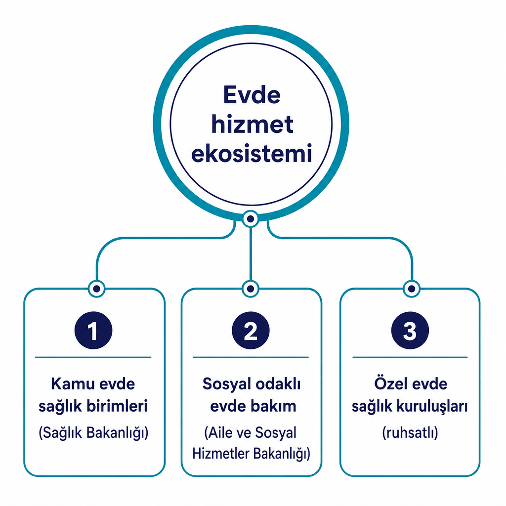 Kamu evde sağlık birimleri, sosyal evde bakım ve özel evde sağlık kuruluşlarını gösteren şema