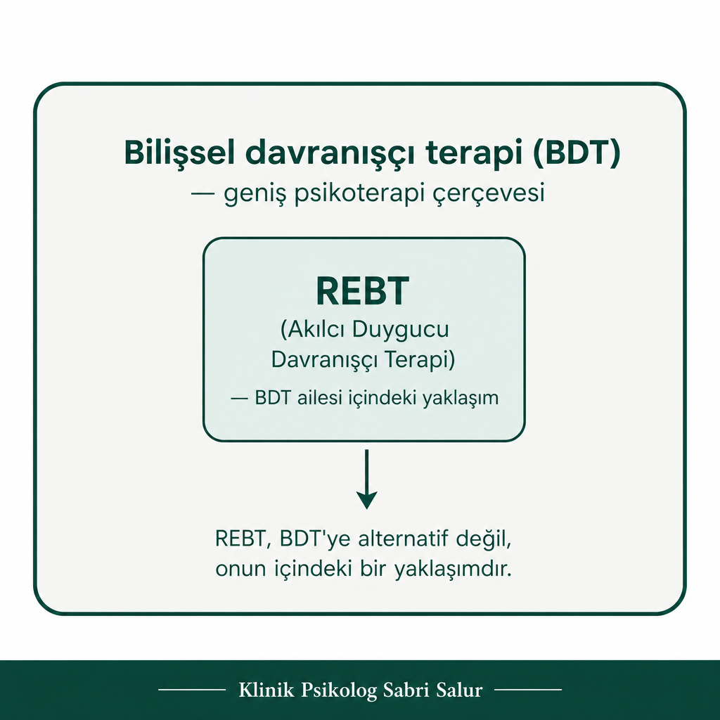 BDT'nin geniş bir çerçeve, REBT'nin ise onun içinde yer alan bir yaklaşım olduğunu gösteren iç içe şema
